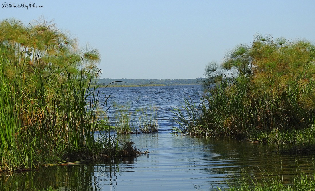 Lake Kanyaboli - Yala Swamp.JPG